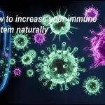 immune system